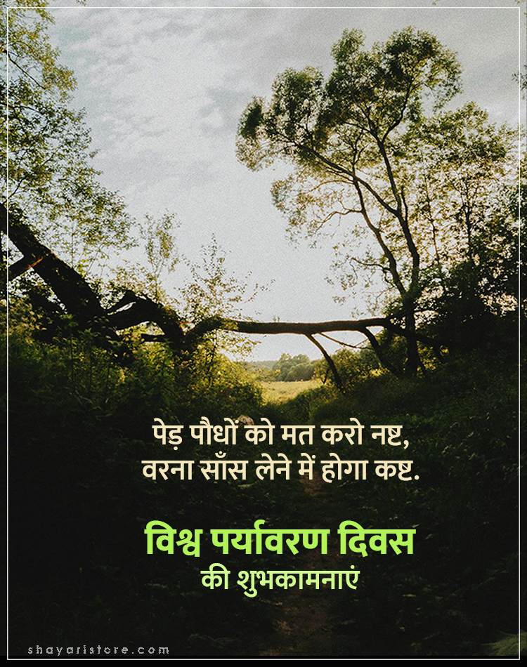 Best World Environment Day Wishes In Hindi 2025 | विश्व पर्यावरण दिवस की शुभकामनाएं 4 world environment day wishes